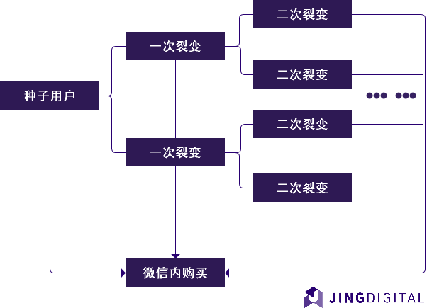 微信生态内社交零售的生态闭环示例